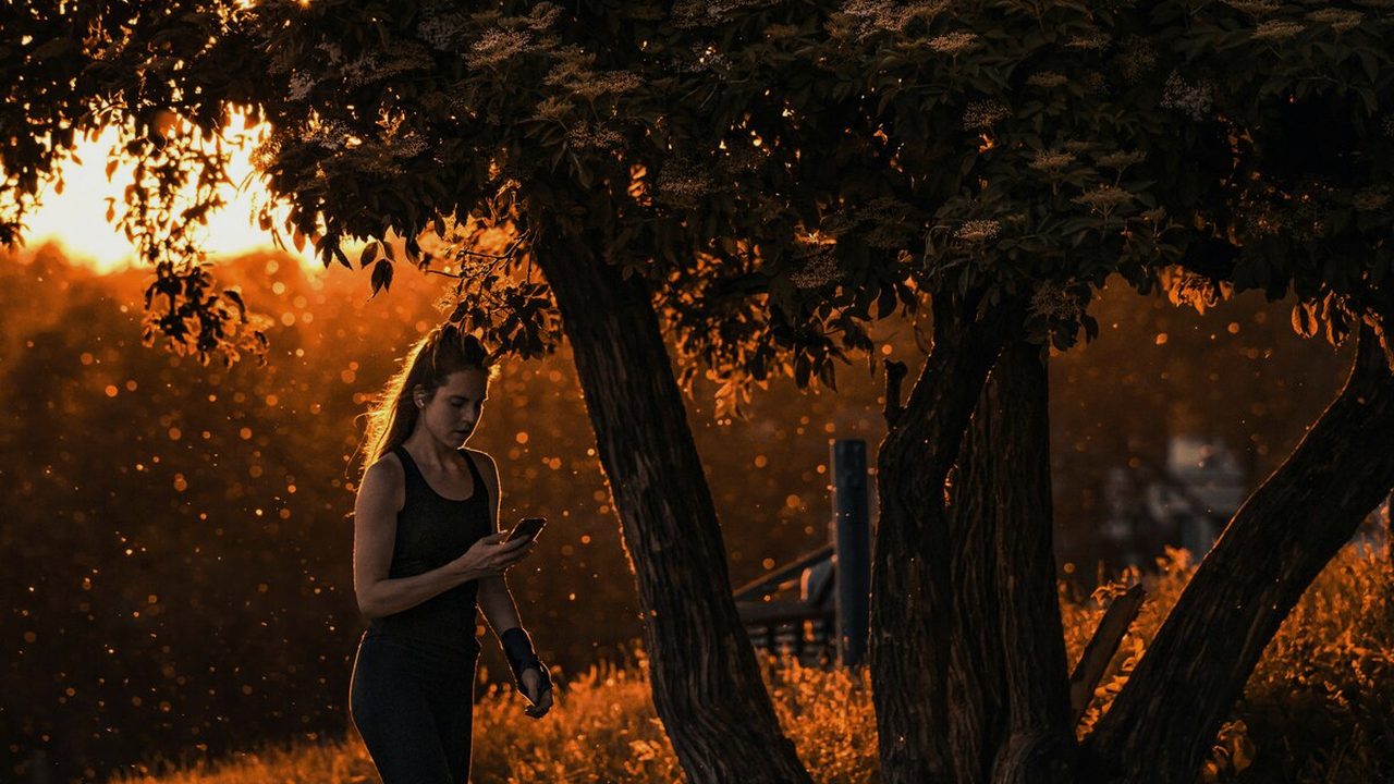 A walker at golden hour through trees — The 30-Day Reset, the Japanese Walking Method book
