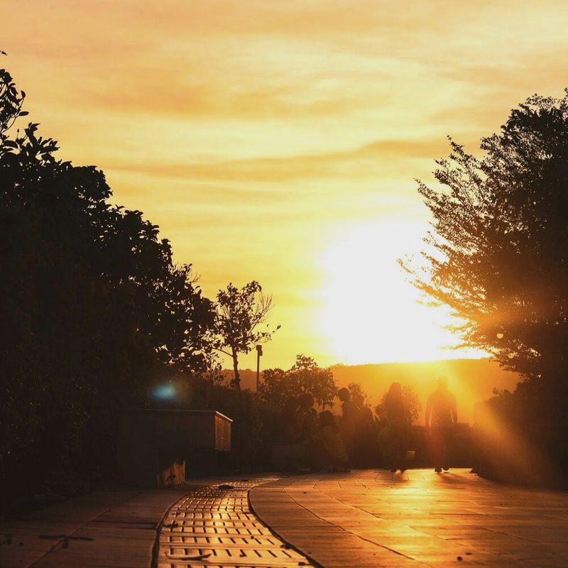 A boardwalk leading toward sunset, walkers in silhouette — Past The Wall, the 12-week workbook