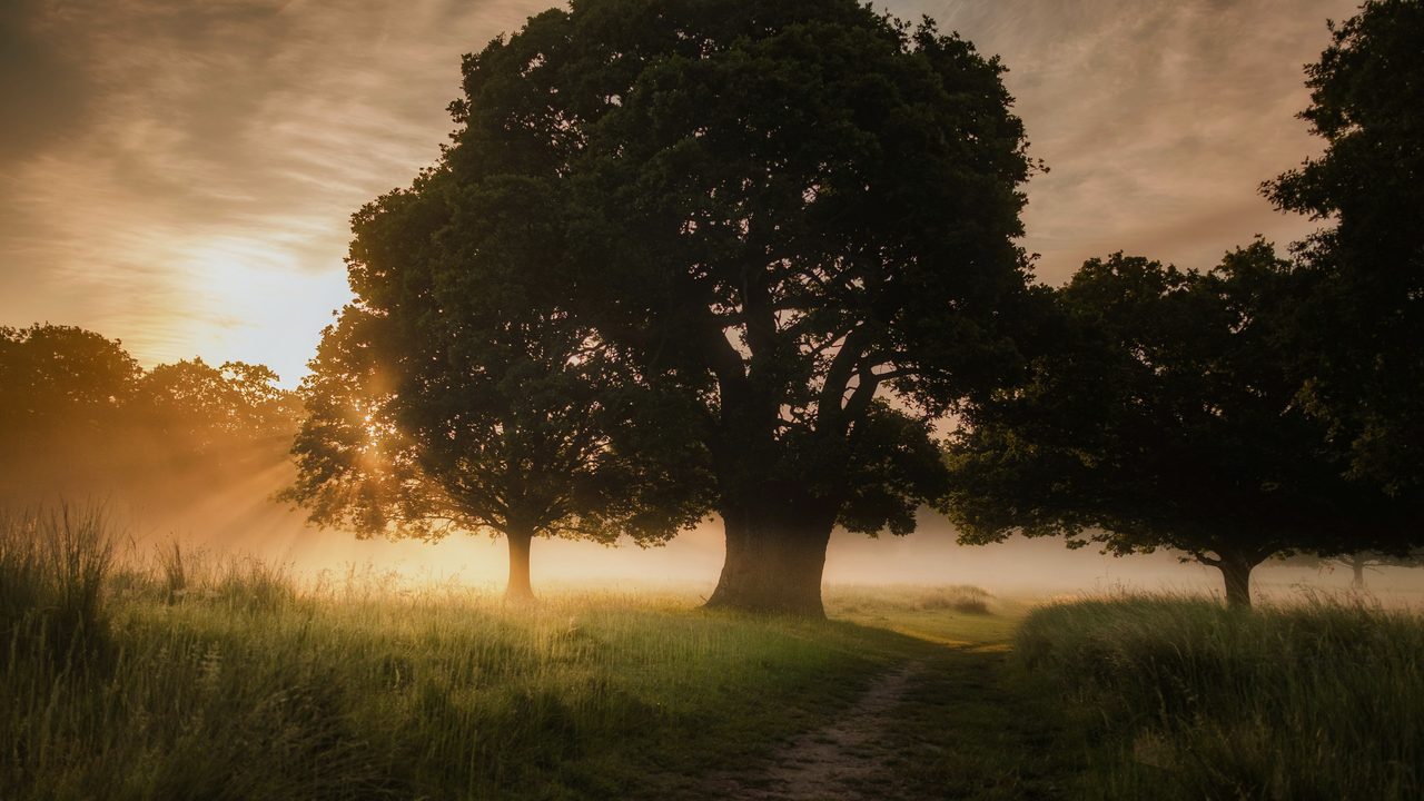 A solitary walker on a path at sunrise.