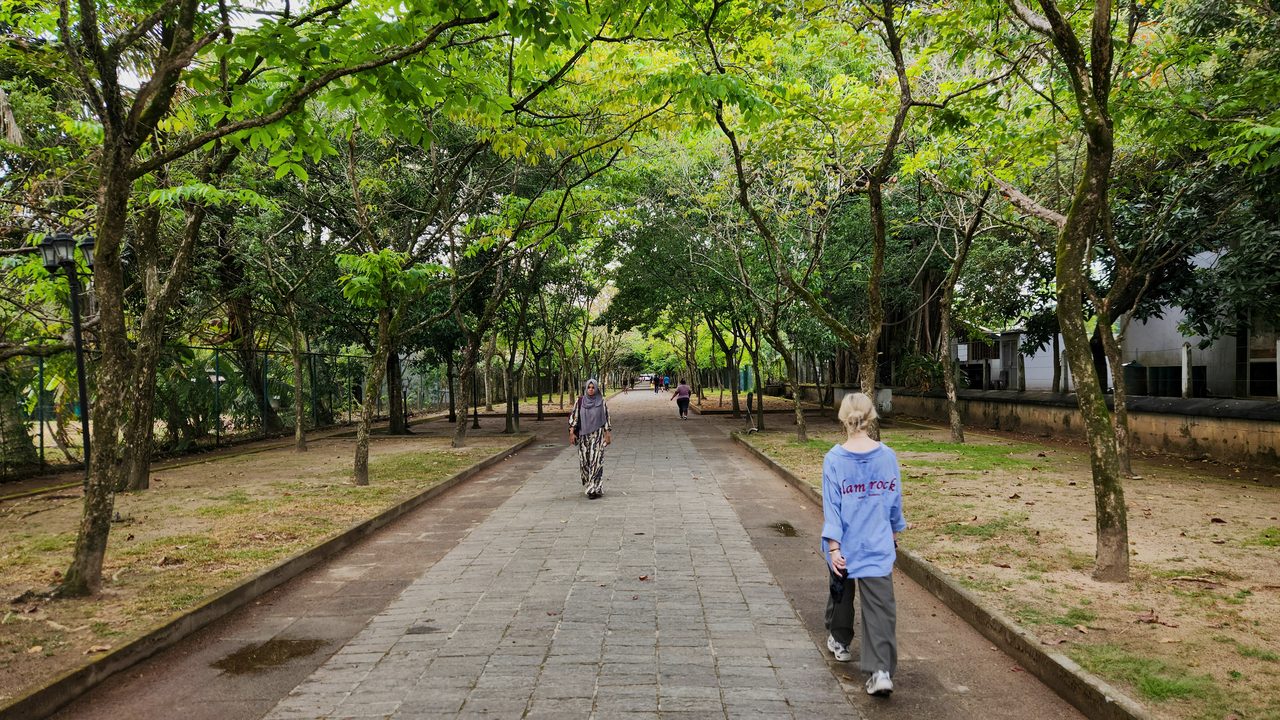 An adult on a quiet evening walk through a park, away from work.
