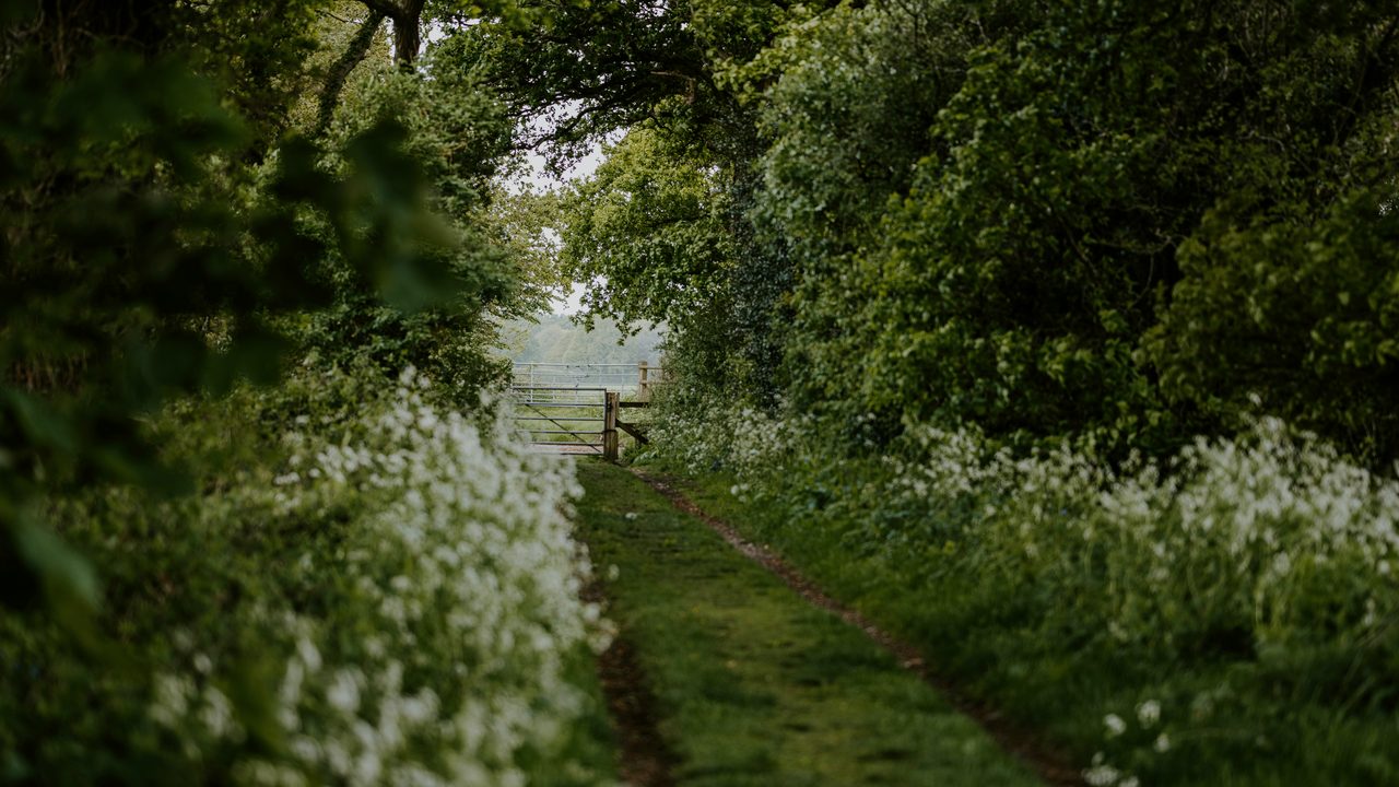 Two walkers on a countryside trail.