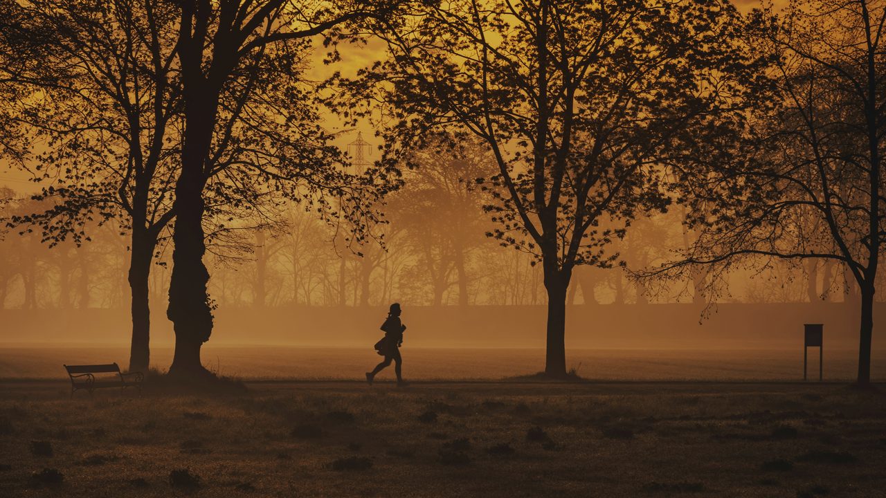 An adult walking briskly through a park in the morning.