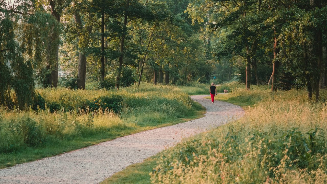 An older adult walking briskly on a park path.